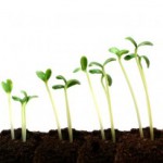 Pitching to Investors at Y Combinator Growing Rapidly Pitching to Investors at Y Combinator Growing Rapidly