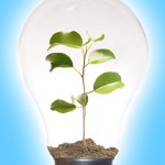 Small Business Cost Cutting: “Greening” and Frugality Small Business Cost Cutting: “Greening” and Frugality