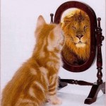 Perception is Reality. What is Yours? Perception is Reality. What is Yours?