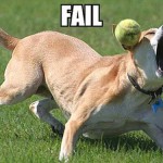 Gen Y Entrepreneurs Might Fail. So What? Gen Y Entrepreneurs Might Fail. So What?