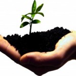 Entrepreneurs Are Made Not Born Entrepreneurs Are Made Not Born