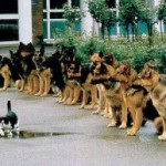 Pitching Part 2: How To Be Confident! Pitching Part 2: How To Be Confident!