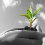 Local Incubators Offer the Best “Shortcut to Success” for Startups Local Incubators Offer the Best “Shortcut to Success” for Startups