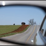 Valuable Lessons Learned In The First Year As A Startup CEO Valuable Lessons Learned In The First Year As A Startup CEO