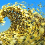 Take Your Business from Clunk to Cash Take Your Business from Clunk to Cash