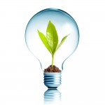 Infographic: It’s Not Easy Being a Green Innovator Infographic: It’s Not Easy Being a Green Innovator