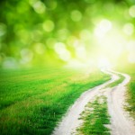 An Unconventional Path to Better Business: Raise Your Rates & Turn Clients Away An Unconventional Path to Better Business: Raise Your Rates & Turn Clients Away