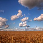 5 Traits That Differentiate Iowa Entrepreneurs 5 Traits That Differentiate Iowa Entrepreneurs