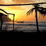 Learn to Ride the Wave: Surf Lessons for Startups Learn to Ride the Wave: Surf Lessons for Startups