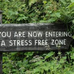 Why Your Health is Your #1 Business Asset Why Your Health is Your #1 Business Asset