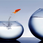 5 Ways To Crush Limiting Beliefs 5 Ways To Crush Limiting Beliefs