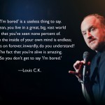 5 Things Entrepreneurs Can Learn From Louis C.K. 5 Things Entrepreneurs Can Learn From Louis C.K.