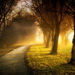 The Relationship Between Abundance and Dissatisfaction The Relationship Between Abundance and Dissatisfaction